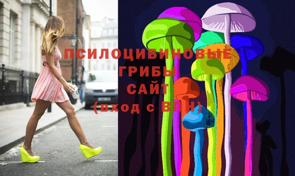 твердый Абинск