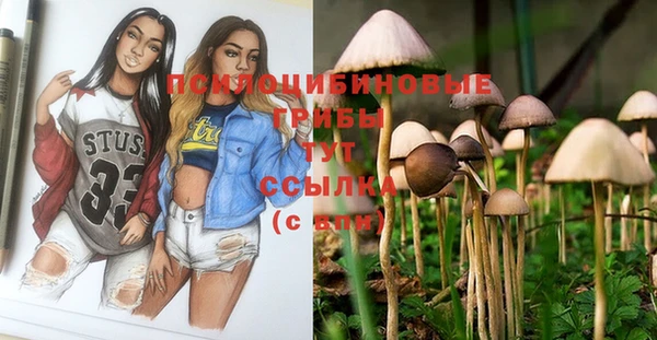 трава Абаза