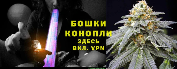 трава Абаза
