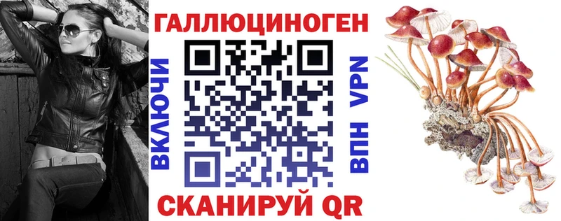 Псилоцибиновые грибы мухоморы  что такое   Кимовск 